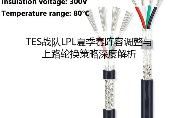 TES战队LPL夏季赛阵容调整与上路轮换策略深度解析
