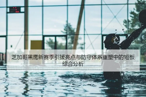 芝加哥黑鹰新赛季引援亮点与防守体系重塑中的短板综合分析